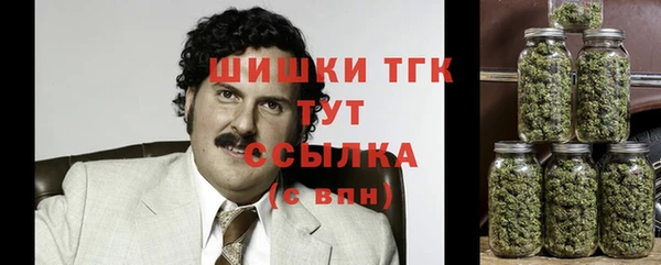 сатива Белоозёрский