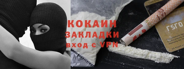 сатива Белоозёрский