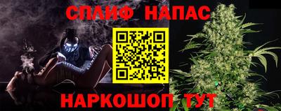 бошки Бийск