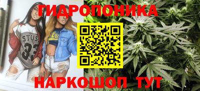 кокс Берёзовский