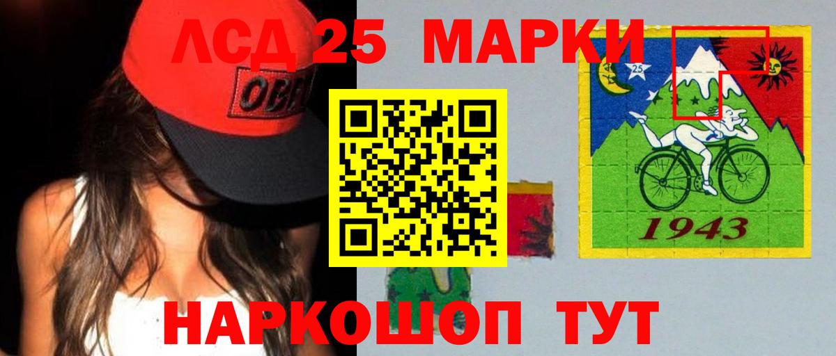 МЕФ Воркута