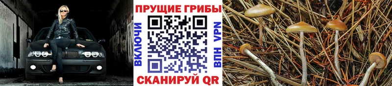 Псилоцибиновые грибы MAGIC MUSHROOMS  ссылка на мегу сайт  Воркута 