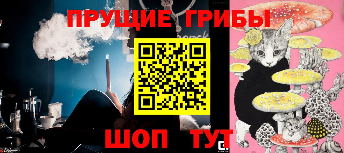Псилоцибиновые грибы Cubensis  Вход с VPN  Воркута 